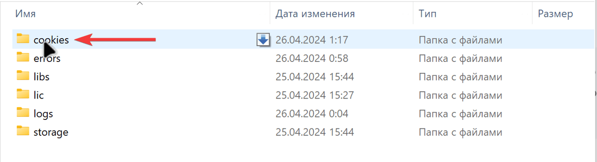 Структура папки cookies